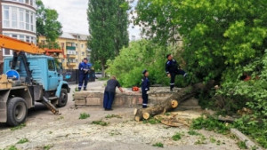 Спасатели предупреждают липчан о сильном ветре