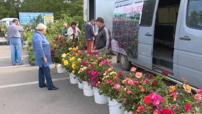 В пятницу и воскресенье пройдут ярмарки 