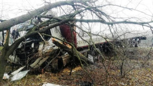 Грузовик снес дерево в Липецке