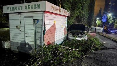 «Лада Калина» врезалась в дерево в Ельце