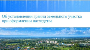 В Росреестре рассказали об установлении границ земельного участка при оформлении наследства