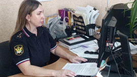 Жительница Грязинского округа выплатила миллионный долг по алиментам после возбуждения трёх уголовных дел