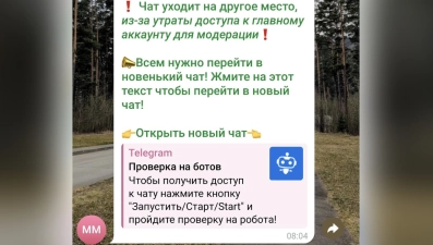 Заманили в новый чат: липчан предупредили о новой схеме мошенников