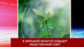 Охраной окружающей среды в Липецкой области займется общественный совет