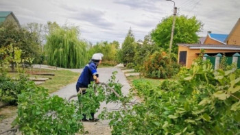 В Липецке ликвидируют последствия ночной грозы и ветра