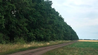 Пропавших бабушку с семилетней внучкой искали всем селом