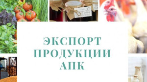 Экспорт продукции липецкого АПК в первом полугодии увеличился на 60%