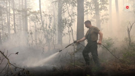 Корреспонденты «Липецкого времени» побывали на месте пожара в Воронежском заповеднике 