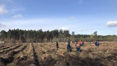 Добровольцы высадят 20 тысяч деревьев (видео)