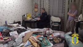 Липчанка обманула земляков на 8,3 млн рублей, продавая «конфискованные авто» и права