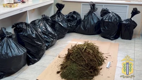 Полиция изъяла 35 килограммов конопли у жителя Грязей