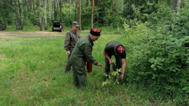 Липецкие казаки помогают предотвратить пожары в лесах 