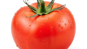 117 тысяч тонн овощей собрали аграрии Липецкой области