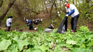 Группа компаний ОДСК приняла участие липецком субботнике