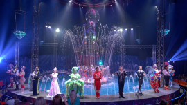 В Липецк приехал знаменитый «Цирк на воде» 