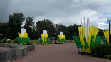 Липецк готовится к масштабному празднованию Дня города