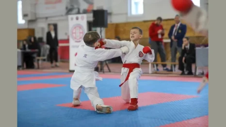 Юные липецкие бойцы завоевали 77 медалей на турнире ЦФО 