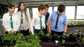 В усманском лицее №1 с 2026 года работает агрокласс