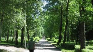 Благоустройство Нижнего парка продолжается