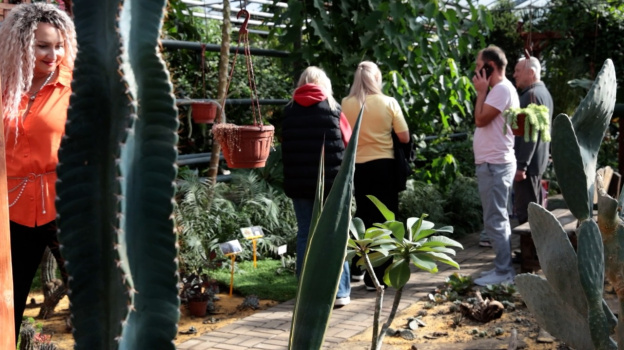 Липецкий ботанический сад отметит 20-летие