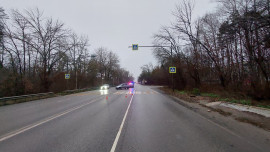 Водитель «Калины» сбил пенсионерку под Липецком