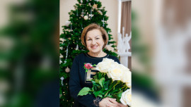 Анна Шамаева покидает пост вице-мэра Липецка