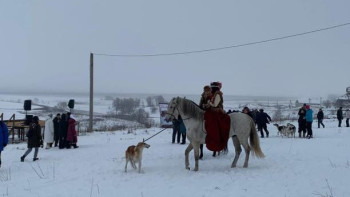 В Липецкой области прошёл фестиваль русской охоты «Отъезжее поле»