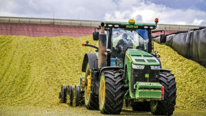 В Липецкой области завершается заготовка грубых и сочных кормов на зиму