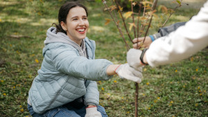 Новый «зеленый» рекорд: волонтеры НЛМК высадили 3400 деревьев в Липецке