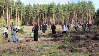 10 тысяч деревьев высадили в Липецкой области в рамках акции «Сохраним лес»