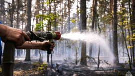 10 гектаров болот горят в Усманском районе