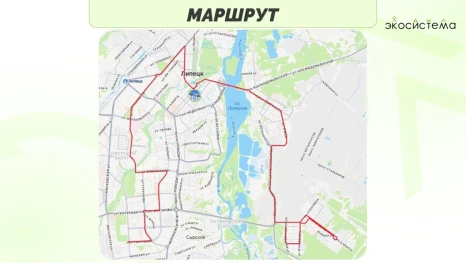 Липецкий «Зеленый автобус» проедет по рекордному количеству остановок