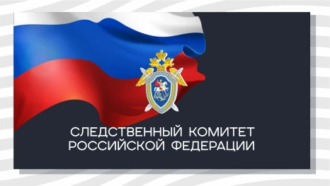 В Липецке возбудили уголовное дело после нападения бродячих собак на отца с маленькой дочерью
