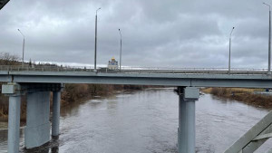 Ельчанин погиб, спрыгнув с моста в Быструю Сосну