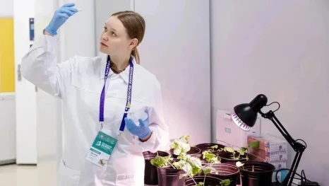 Липецкая десятиклассница представила проект в «Сириусе» и стала лауреатом фестиваля «Большие вызовы»