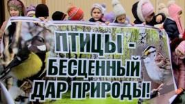 Акция "Покорми птиц зимой" стартовала в Липецке