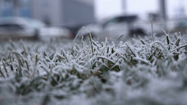 Мокрый снег ожидается в Липецкой области