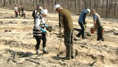 В Липецкой области планируется производство древесных пеллетов 