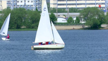 Соревнования по водным видам спорта прошли в Липецке