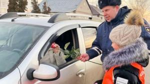 Автоинспекторы в Липецкой области поздравляют автоледи в преддверии Дня матери