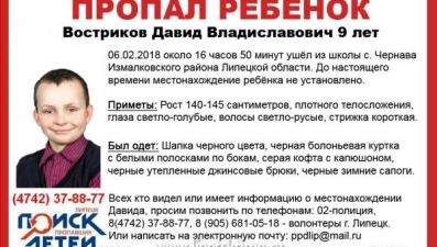 Волонтеры подключились к поиску 9-летнего Давида Вострикова