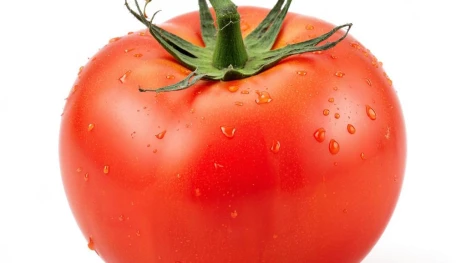 117 тысяч тонн овощей собрали аграрии Липецкой области