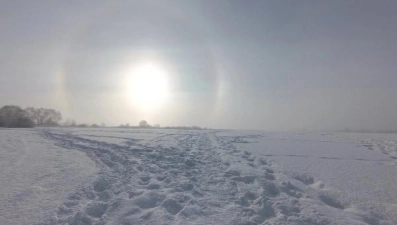 В небе над Ельцом засняли редкое солнечное гало 