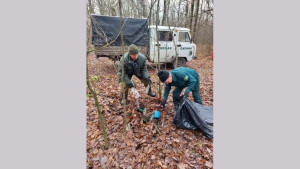 В лесах Липецкой области продолжается уборка мусора