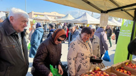 В Липецкой области пройдут 7 ноябрьских продовольственных ярмарок 