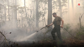 Корреспонденты «Липецкого времени» побывали на месте пожара в Воронежском заповеднике 