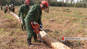 Лучшего вальщика леса определили в регионе (видеосюжет)