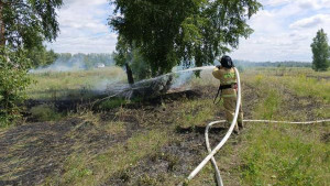 В Липецкой области произошел пожар из-за падения ЛЭП