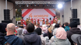 Липецк отметил День народного единства