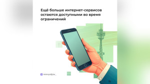 Три липецких сервиса вошли в «белый список» Минцифры России
